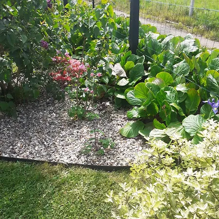 Au Rosier De Franck 別荘 *